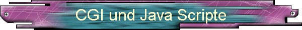 CGI und Java Scripte